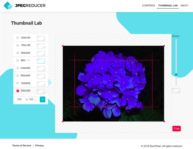 Meet JpegReducer's Thumbnail Lab